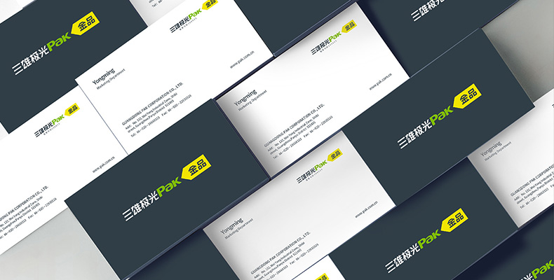 三雄極光-上市品牌命名，VI設(shè)計(jì)，LOGO設(shè)計(jì)